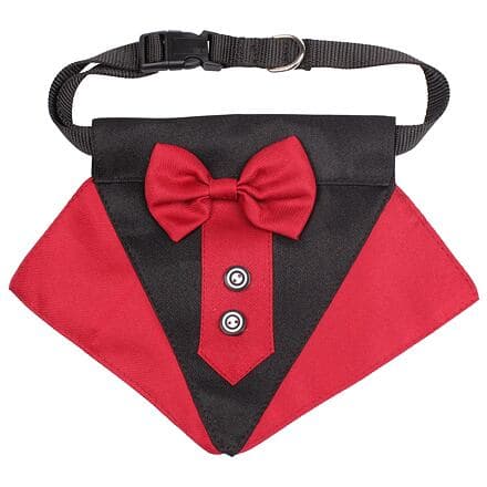 Formal motýlek pro psy červená (Velikost oblečení S)