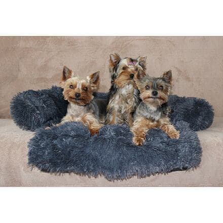 Petsofa pelíšek pro psa tmavě šedá (Rozměr XS)